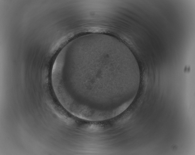 X0000112350303200909241108