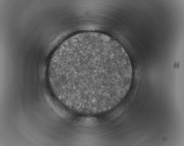 X0000112350304200909241108