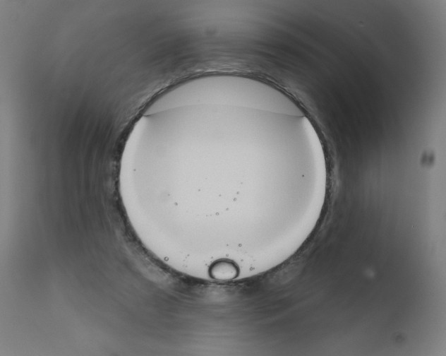 X0000112350305200909241108