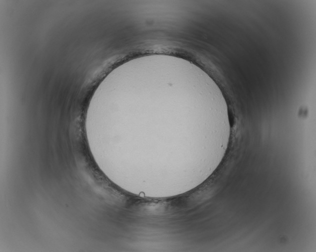 X0000112350306200909241108