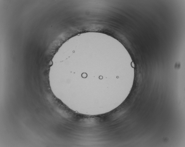 X0000112350307200909241108