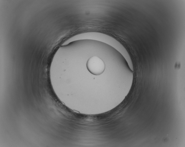 X0000112350308200909241108