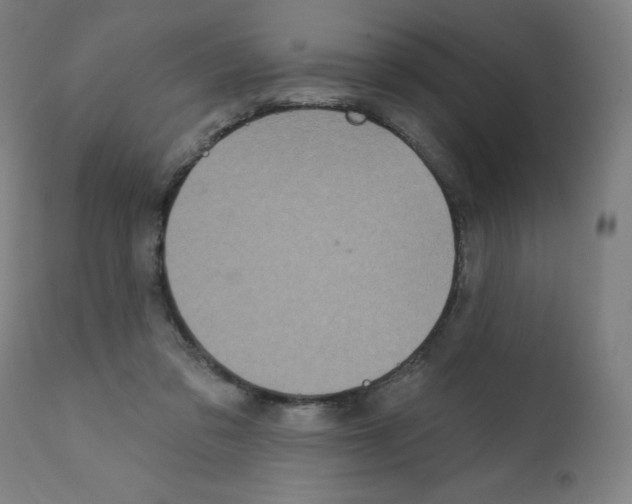 X0000112350309200909241108