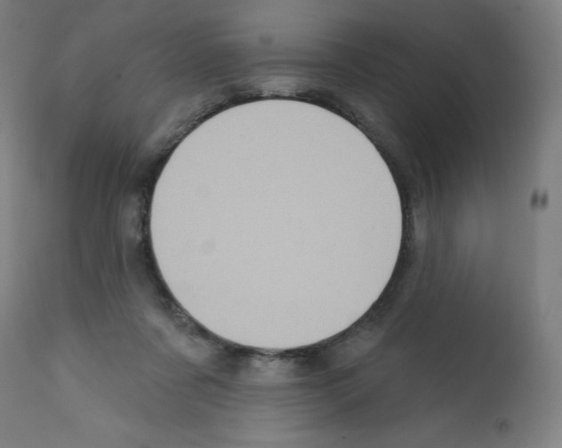 X0000112350311200909241108