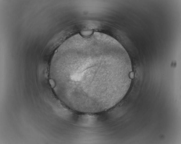 X0000112350313200909241108