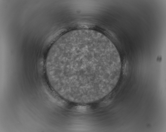 X0000112350314200909241108