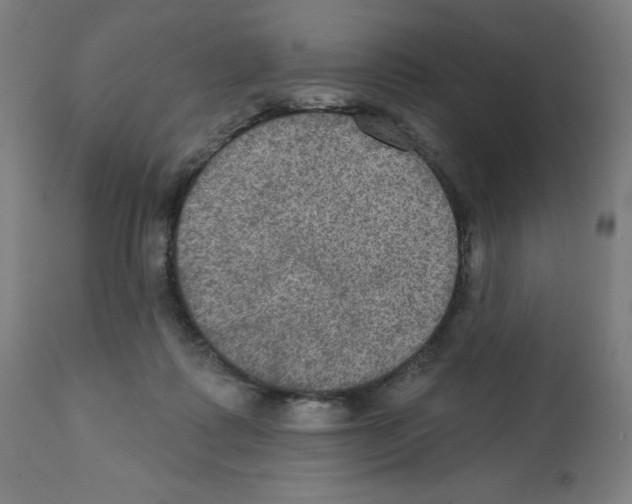 X0000112350315200909241108