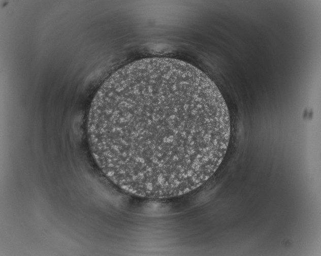 X0000112350319200909241108