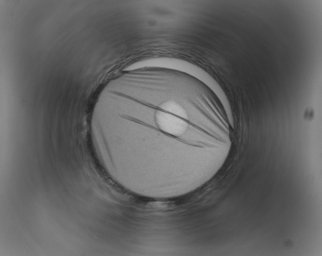 X0000112350320200909241108