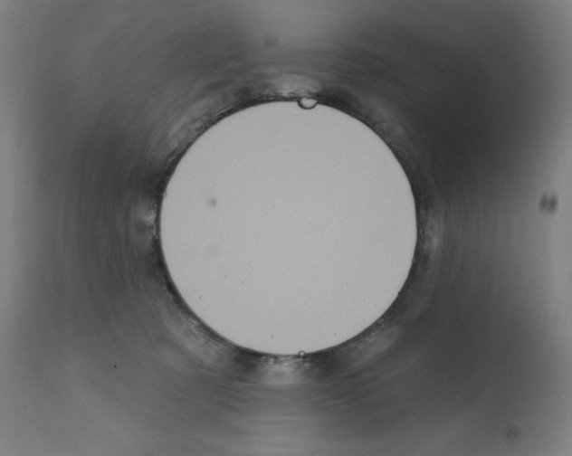 X0000112350321200909241108