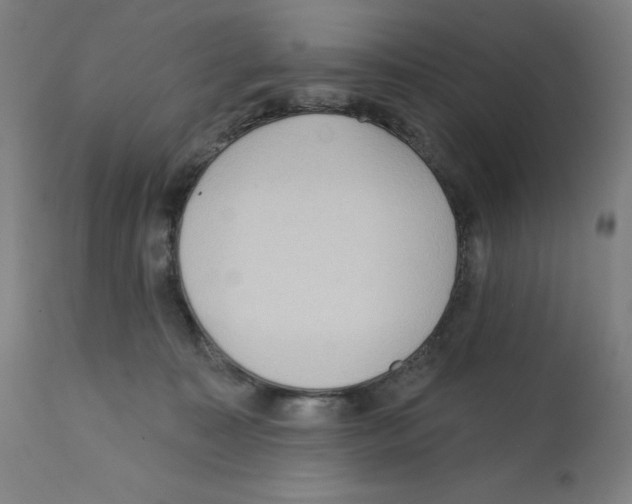 X0000112350323200909241108