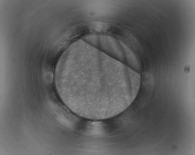 X0000112350324200909241108