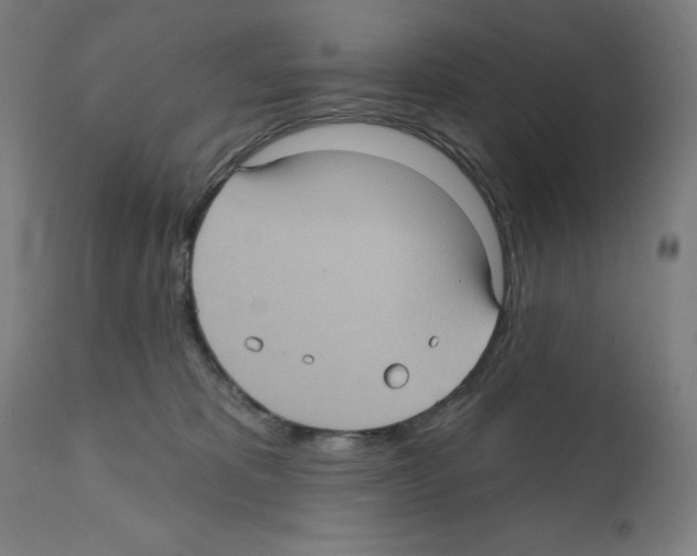 X0000112350325200909241108