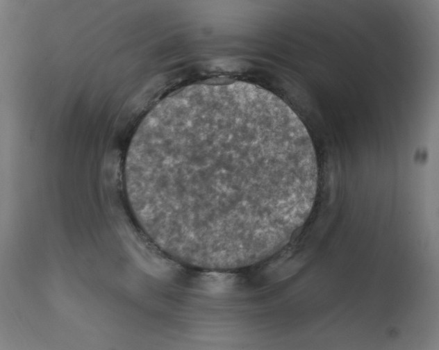 X0000112350328200909241108