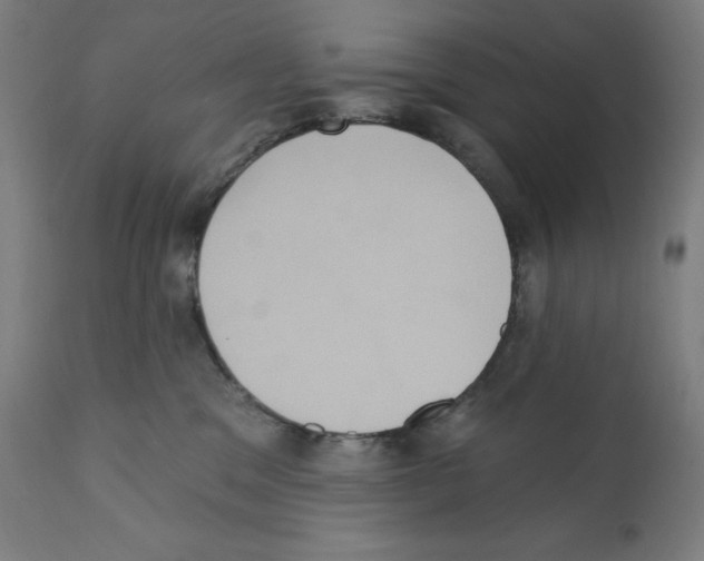 X0000112350329200909241108