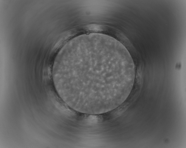 X0000112350330200909241108