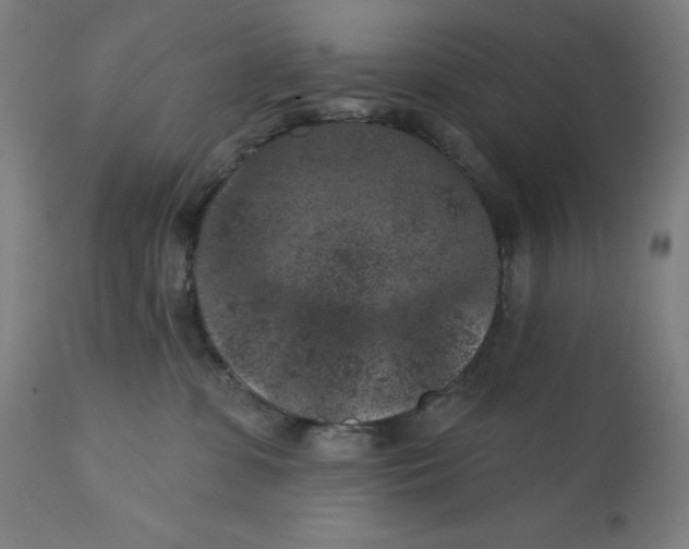 X0000112350331200909241108