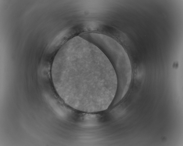 X0000112350332200909241108