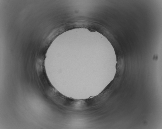 X0000112350333200909241108