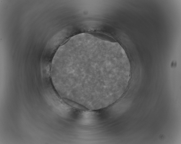 X0000112350336200909241108