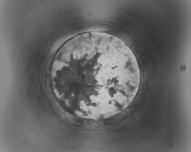 X0000112350337200909241107