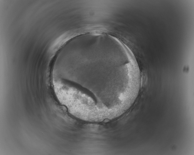 X0000112350339200909241107