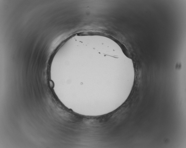 X0000112350340200909241107