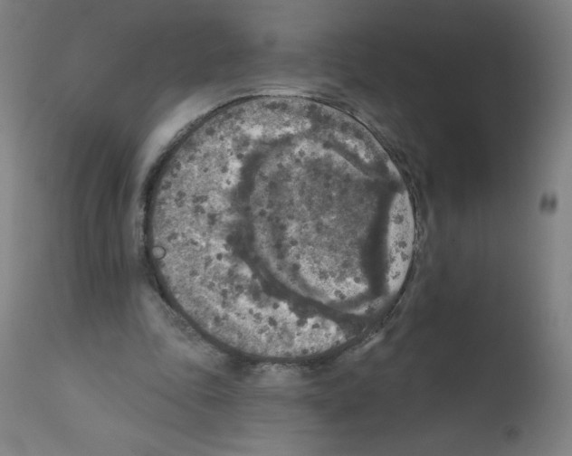 X0000112350343200909241107