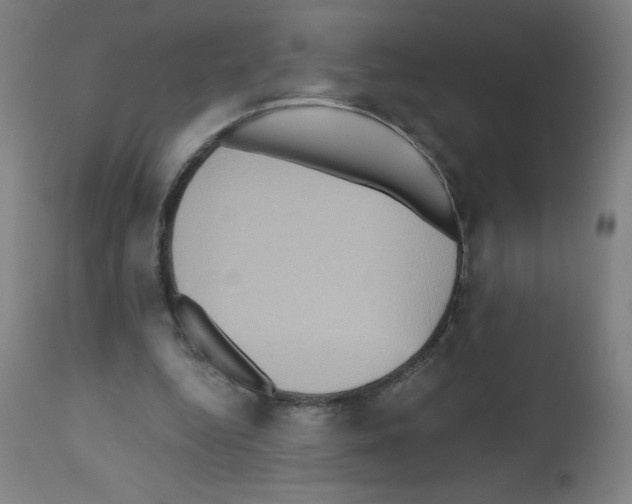 X0000112350344200909241107