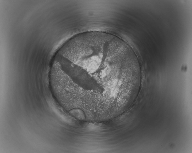 X0000112350346200909241107