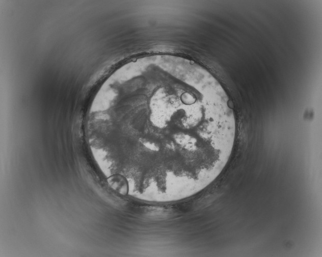 X0000112350347200909241107