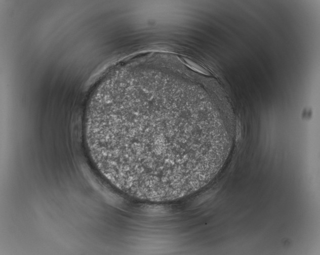 X0000112350349200909241107