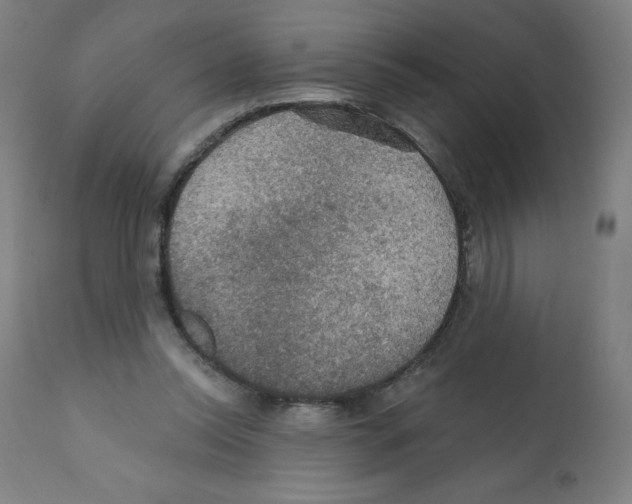 X0000112350350200909241107