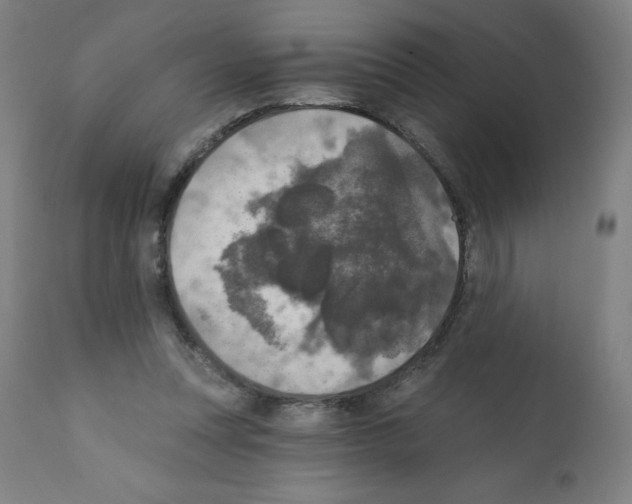 X0000112350351200909241107