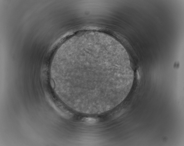 X0000112350352200909241107