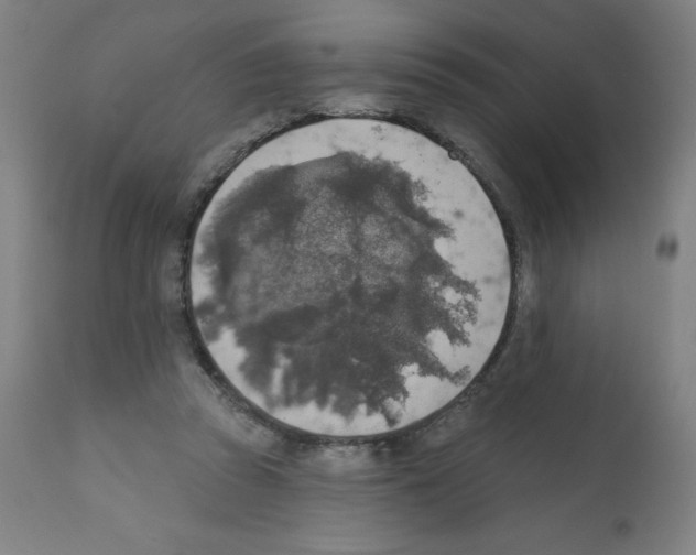 X0000112350353200909241107