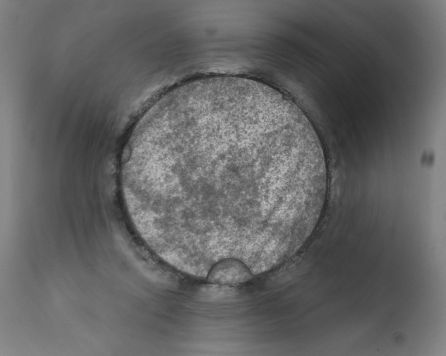 X0000112350354200909241107