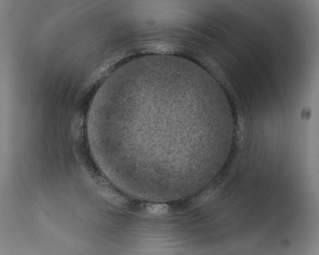 X0000112350355200909241107