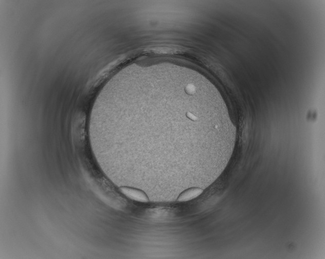 X0000112350356200909241107