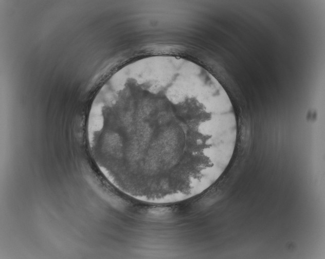 X0000112350357200909241107