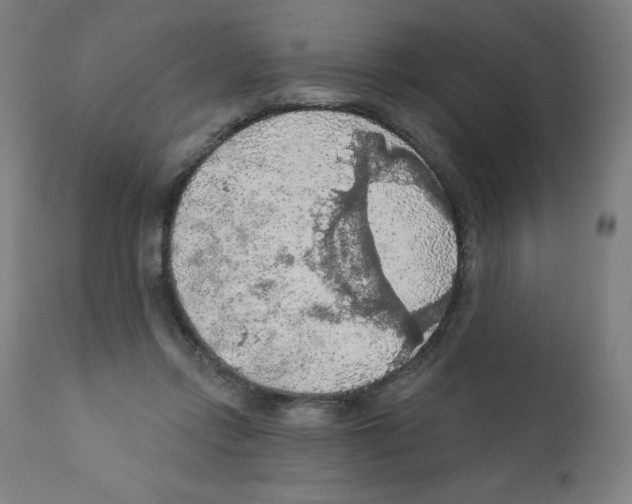 X0000112350358200909241107