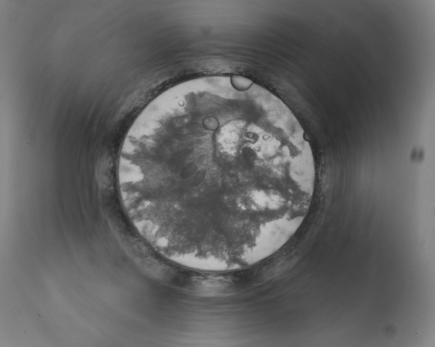 X0000112350359200909241107