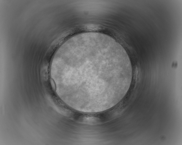 X0000112350360200909241107