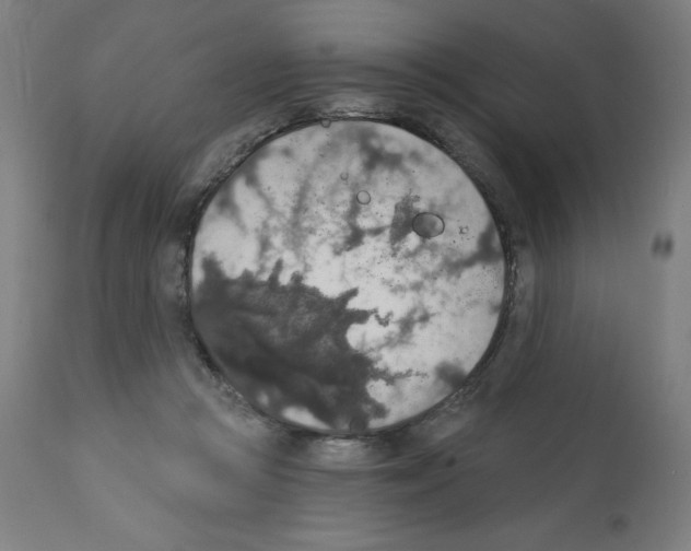 X0000112350361200909241107