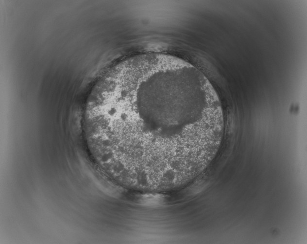 X0000112350363200909241107