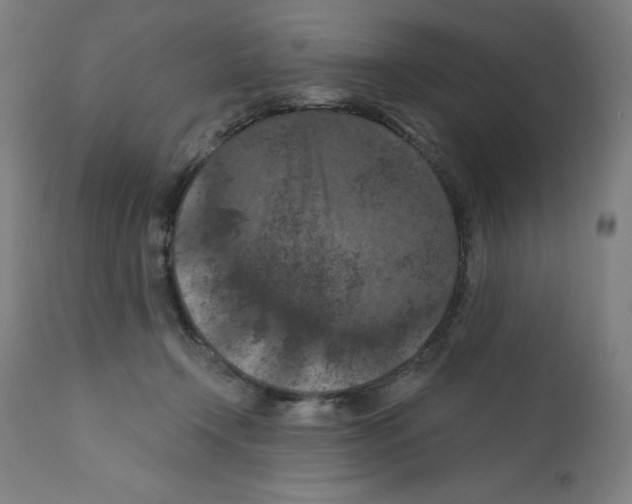 X0000112350366200909241108