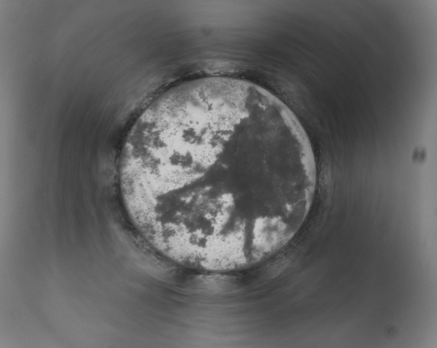 X0000112350367200909241108