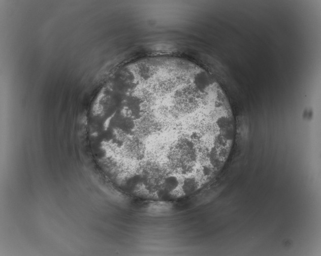 X0000112350369200909241108