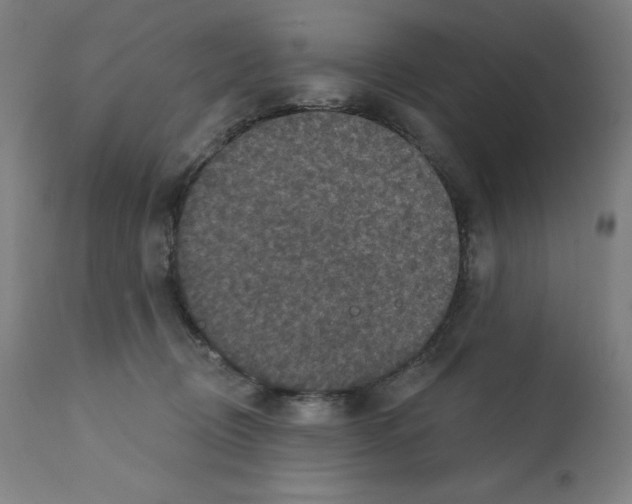 X0000112350370200909241108