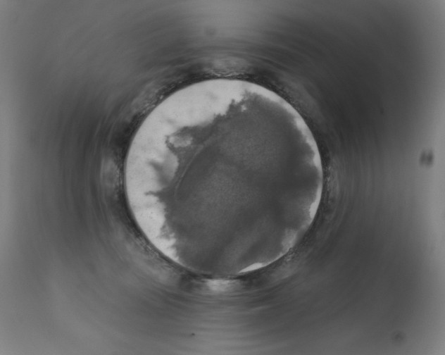 X0000112350371200909241108